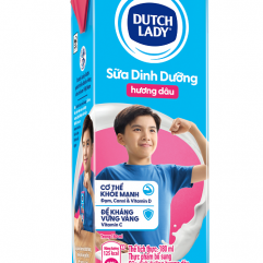 Sữa tươi tiệt trùng Dutch Lady CGHL Dâu 48x180ml