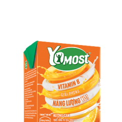 Sữa chua lên men tự nhiên Yomost Cam 48x100ml (2)