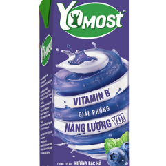 Sữa chua lên men tự nhiên Yomost Việt Quất _BH 48x170ml